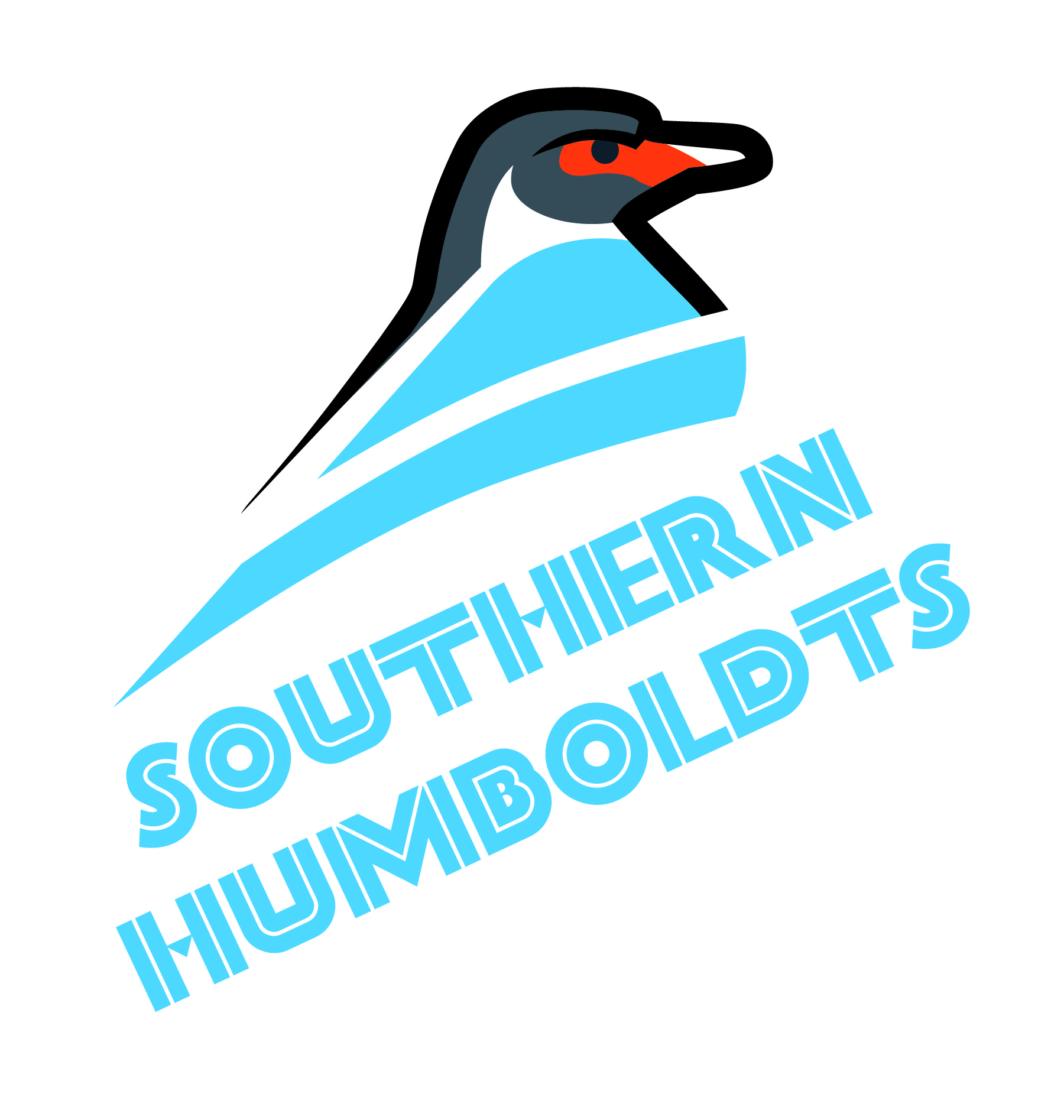 Bristol Penguin Olympic Swimming Club - Penguins House System