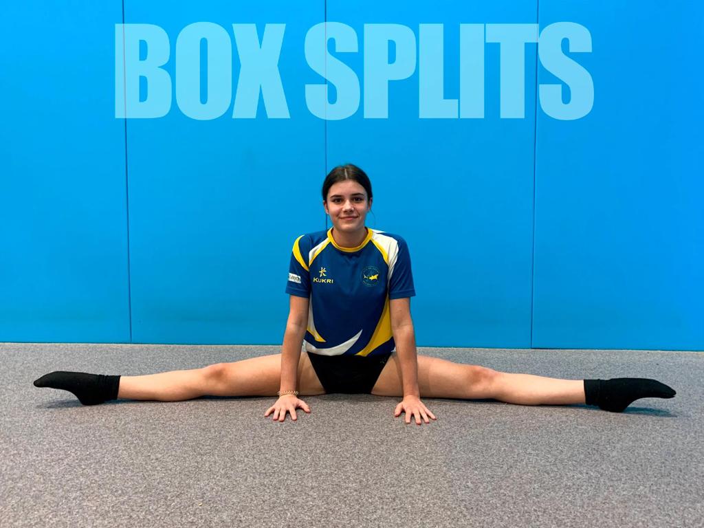 City of Leeds Diving Club Box Splits